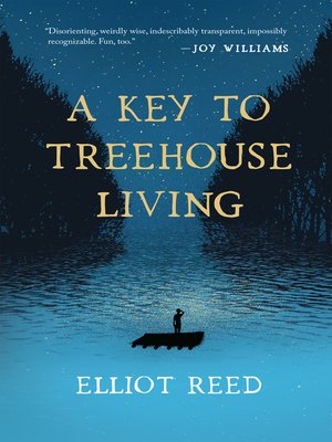 cover image of A Key to Treehouse Living